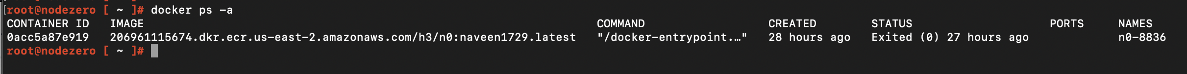 Terminal prompt showing info about the docker container, including Container ID, the image etc.