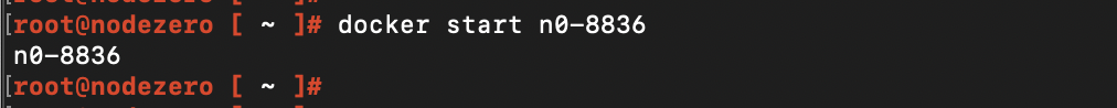 Terminal prompt shows the name of your container as the output.