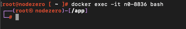 Terminal prompt is located within the /app subdirectory.