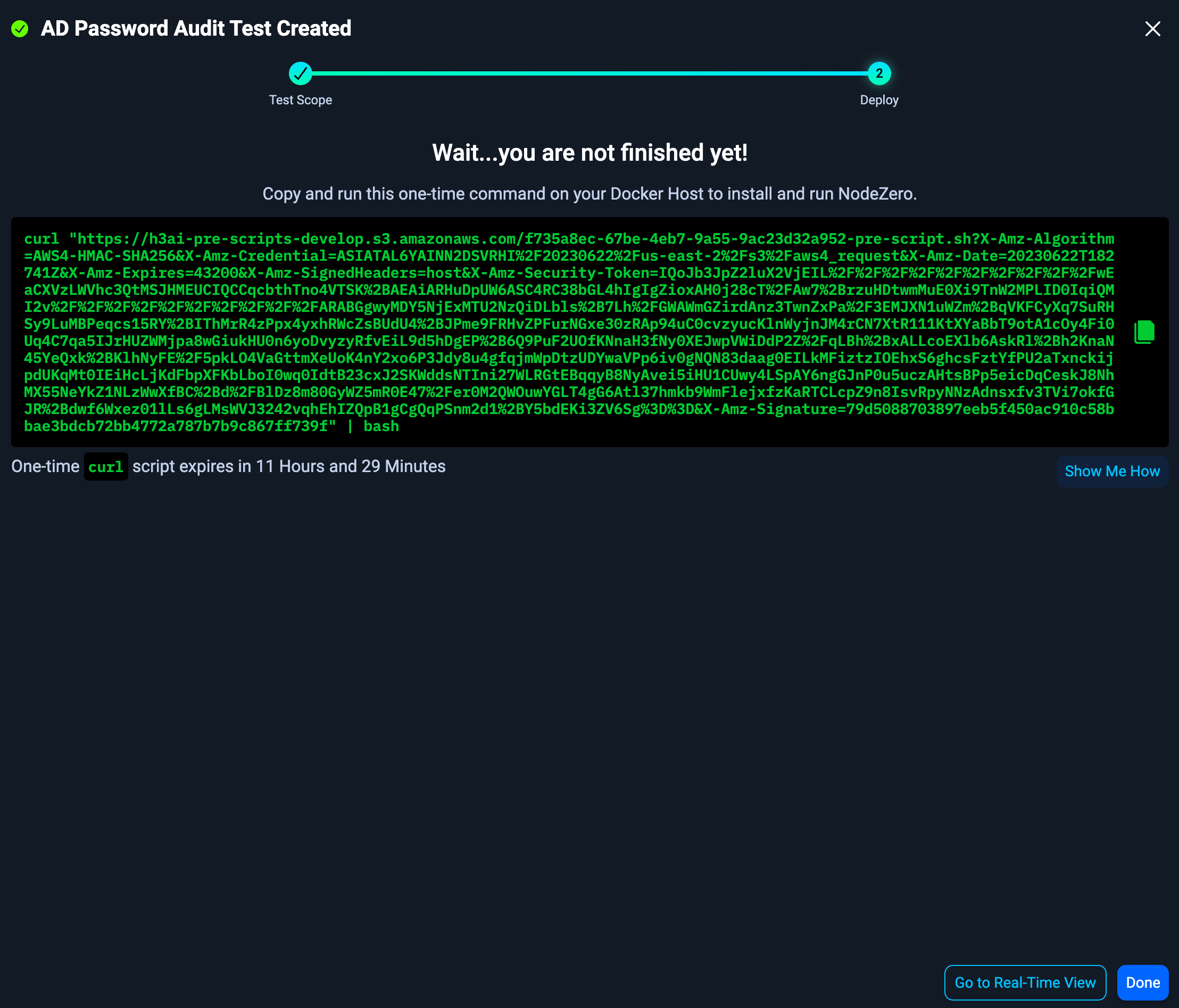 Real-Time View - Copy Script section.