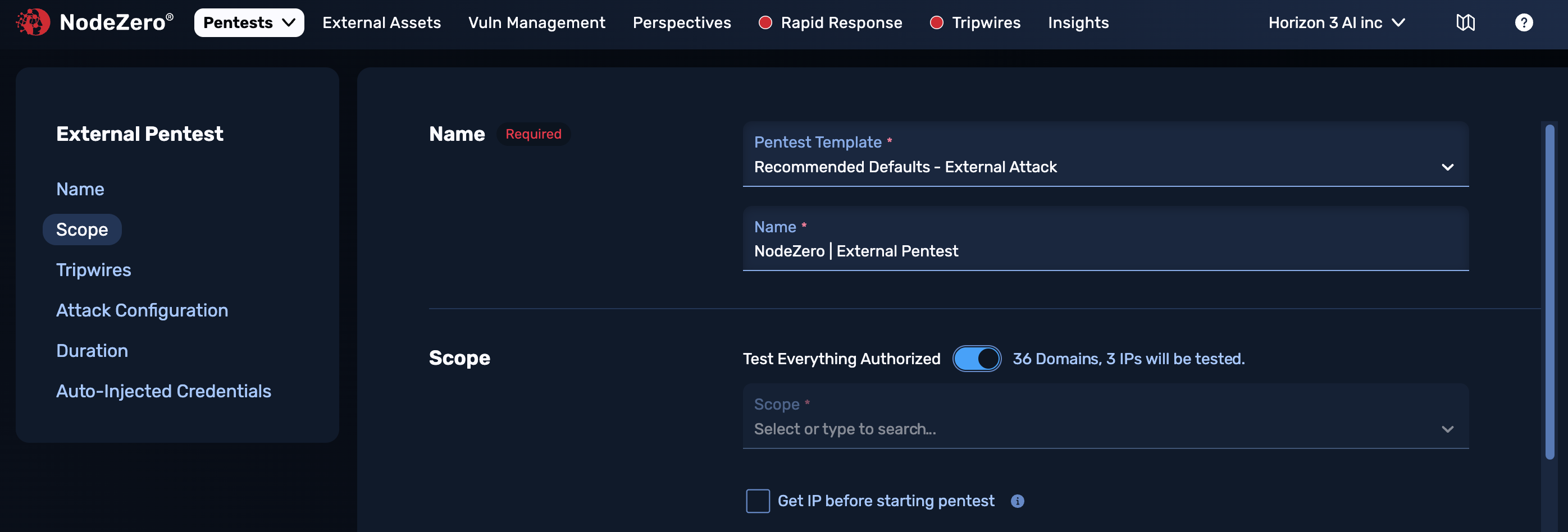 External Pentest form - name section: Pentest Template, Name, and Scope fields. "Test Everything Authorized*" slider with adjacent count of all authorized and reachable domains and IPs. "Get IP before starting pentest" check box.