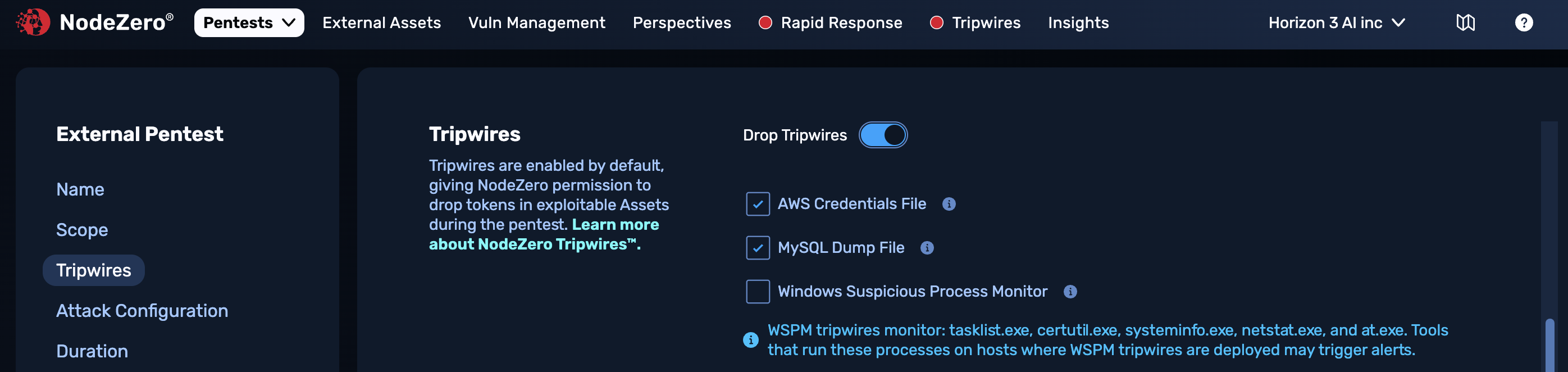 External Pentest form - name section: Pentest Template, Name, and Scope fields. Get IP check box.