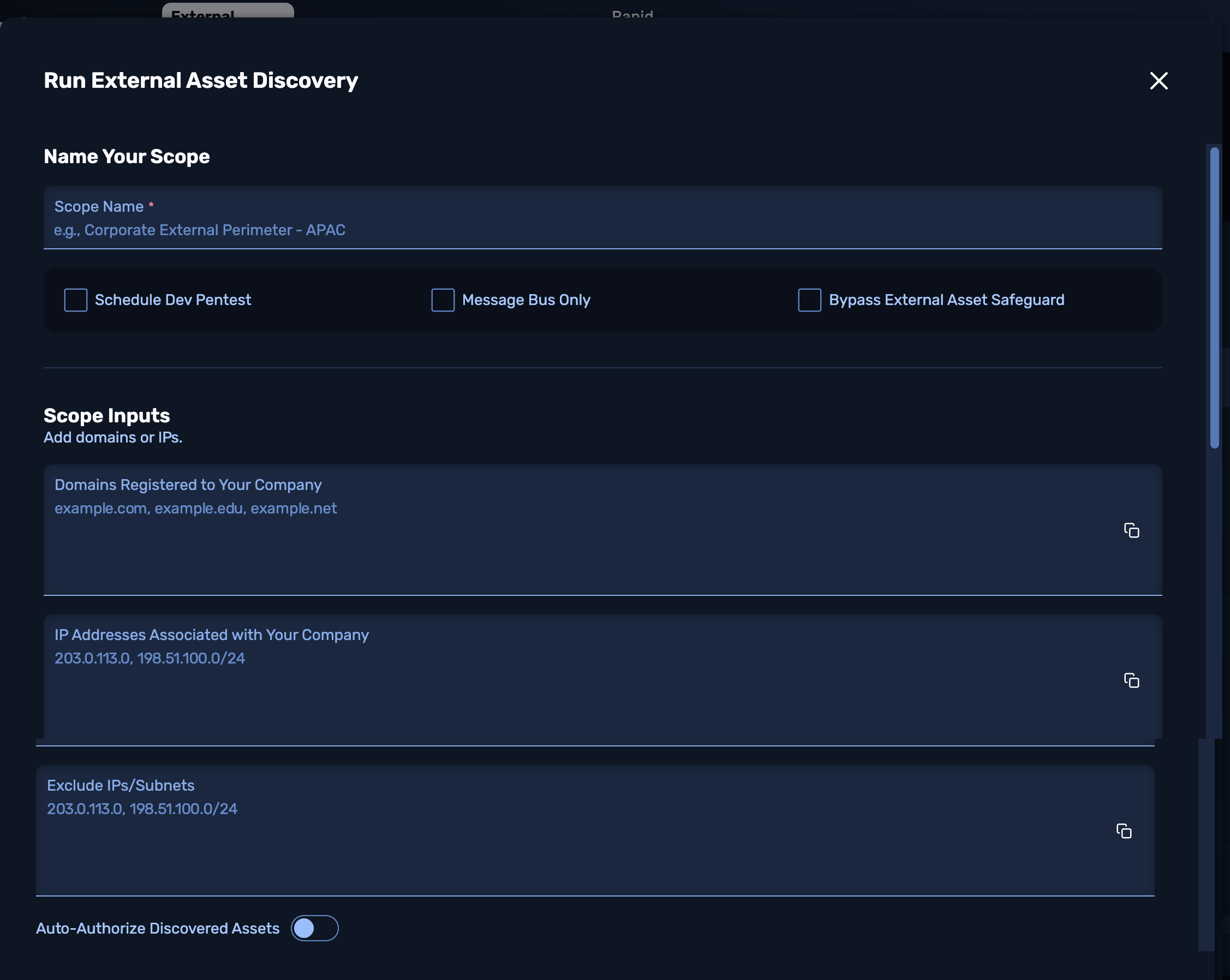"Run External Asset Discovery" modal's top half, providing "Name Your Scope" field and a "Scope Input" section that includes three panels for company registered domains, company associated IP addresses, and IPs/subnets to exclude.