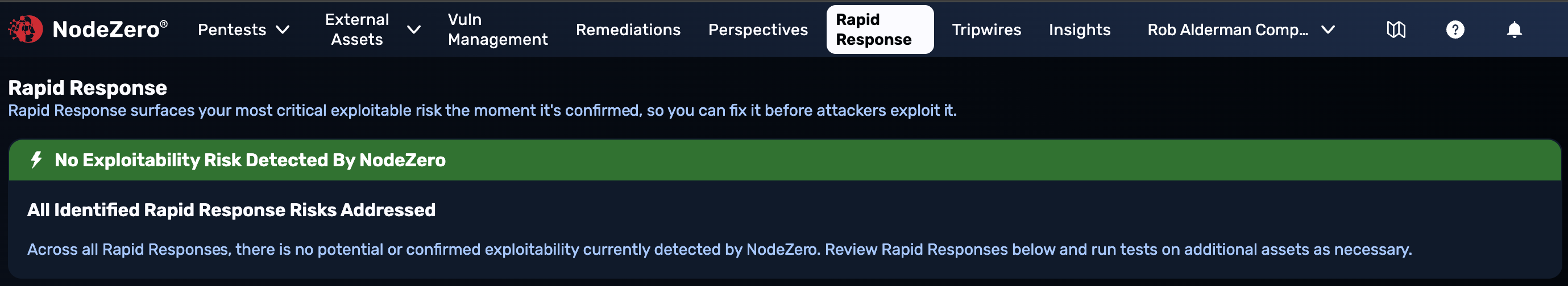 Rapid Response Portal view, showing only a shallow green "No Exploitability Risk Detected By NodeZero"card